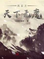风云之天下无魔
