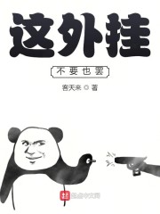 这外挂不要也罢