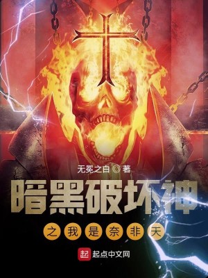 暗黑破坏神之我是奈非天