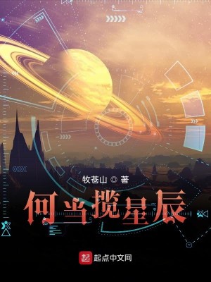 何当揽星辰