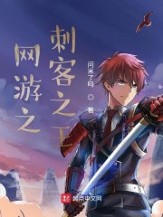 网游之刺客之王