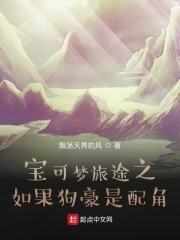 宝可梦旅途之如果狗豪是配角