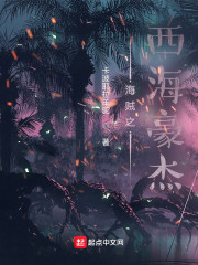 海贼之西海豪杰