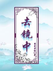 去镜中