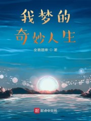 我梦的奇妙人生