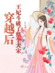 穿越后王妃斗破了整个大宋