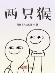 两只猴