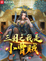 三国之我是小曹贼封面图