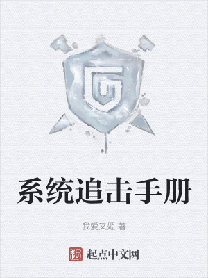 系统追击手册
