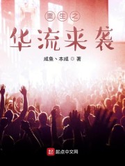 重生之华流来袭