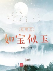 红楼之如宝似玉