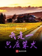 我是一只废柴犬