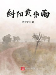斜阳黄昏雨