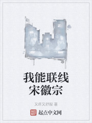 我能联线宋徽宗