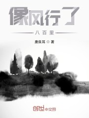 像风行了八百里