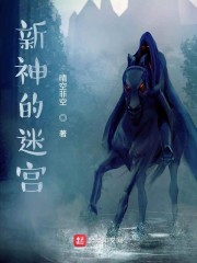 新神的迷宫