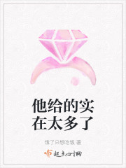 他给的实在太多了