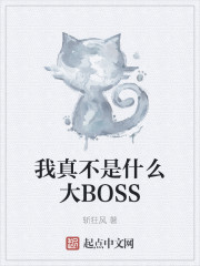 我真不是什么大BOSS