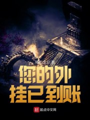 您的外挂已到账！