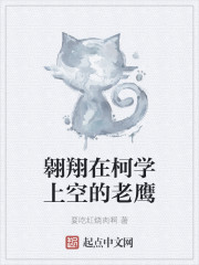 翱翔在柯学上空的老鹰