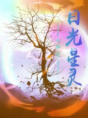 斗罗之曙光星灵
