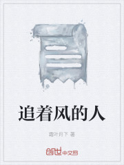 追着风的人
