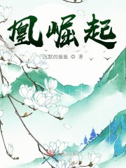 安陵大陆之凰崛起