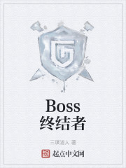 Boss终结者