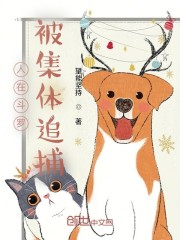 人在斗罗，被集体追捕