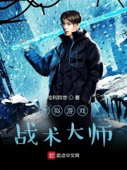 虚拟游戏战术大师