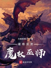 霍格沃茨魔杖巫师