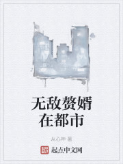 无敌赘婿在都市