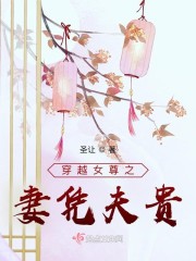 穿越女尊之妻凭夫贵