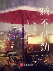 我的海贼不对劲