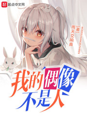 我的偶像不是人