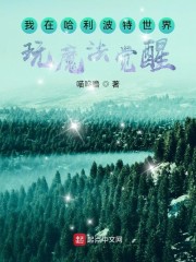 我在哈利波特世界玩魔法觉醒