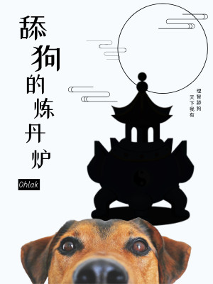 舔狗的炼丹炉