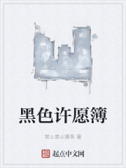 黑色许愿簿