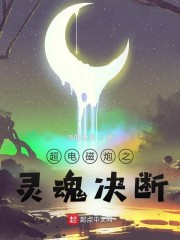 超电磁炮之灵魂决断