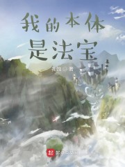 我的本体是法宝