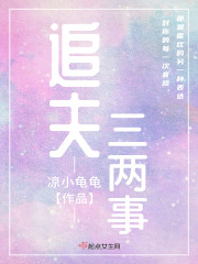 追夫三两事