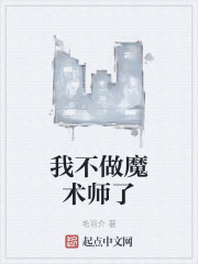 我不做魔术师了