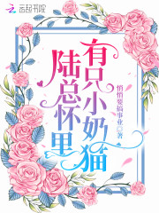 陆总怀里有只小奶猫