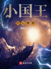 小国王的心酸路