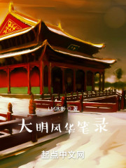 大明风华笔录