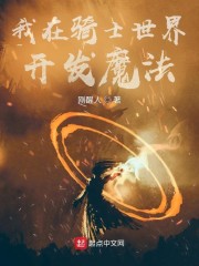我在骑士世界开发魔法