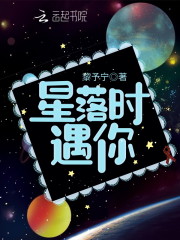 星落时遇你