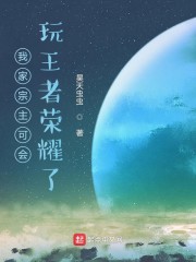 王者荣耀之我家宗主会的多