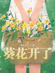 葵花开了