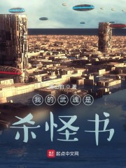 我的武魂是杀怪书